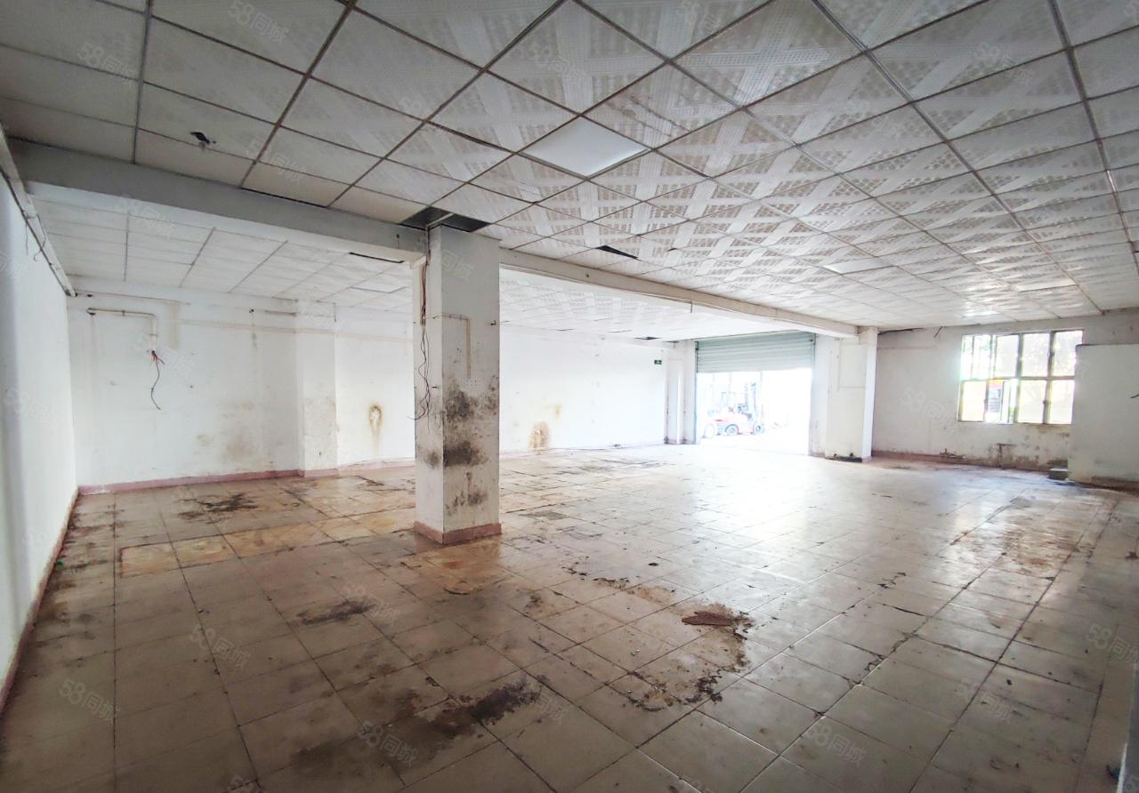 塘厦石鼓标准一楼300平厂房出租，园区空地大，厂房带办公室水