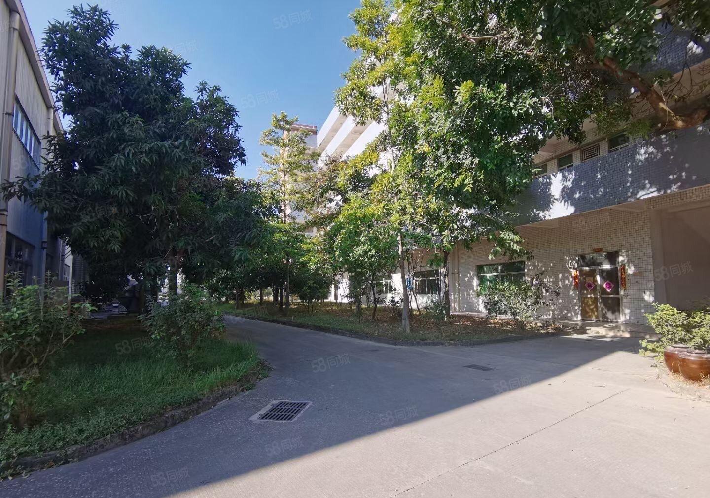 塘厦桥陇东深二线边独院单一层22000平方可分租