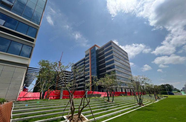 塘厦重工业厂房出租3800平独门独院无尘车间钢构租仓库出租