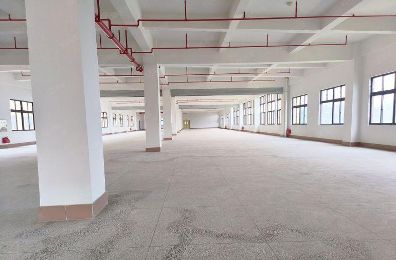 塘厦林村1000平到54000平厂房仓库出租原房东0公摊红本