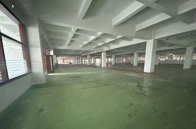 原房东直租标准2楼6500平方！无公摊！现成格局装修