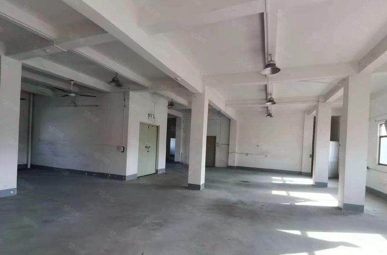 塘厦单一层标准厂房600平方低价出租原房东红本水电齐全