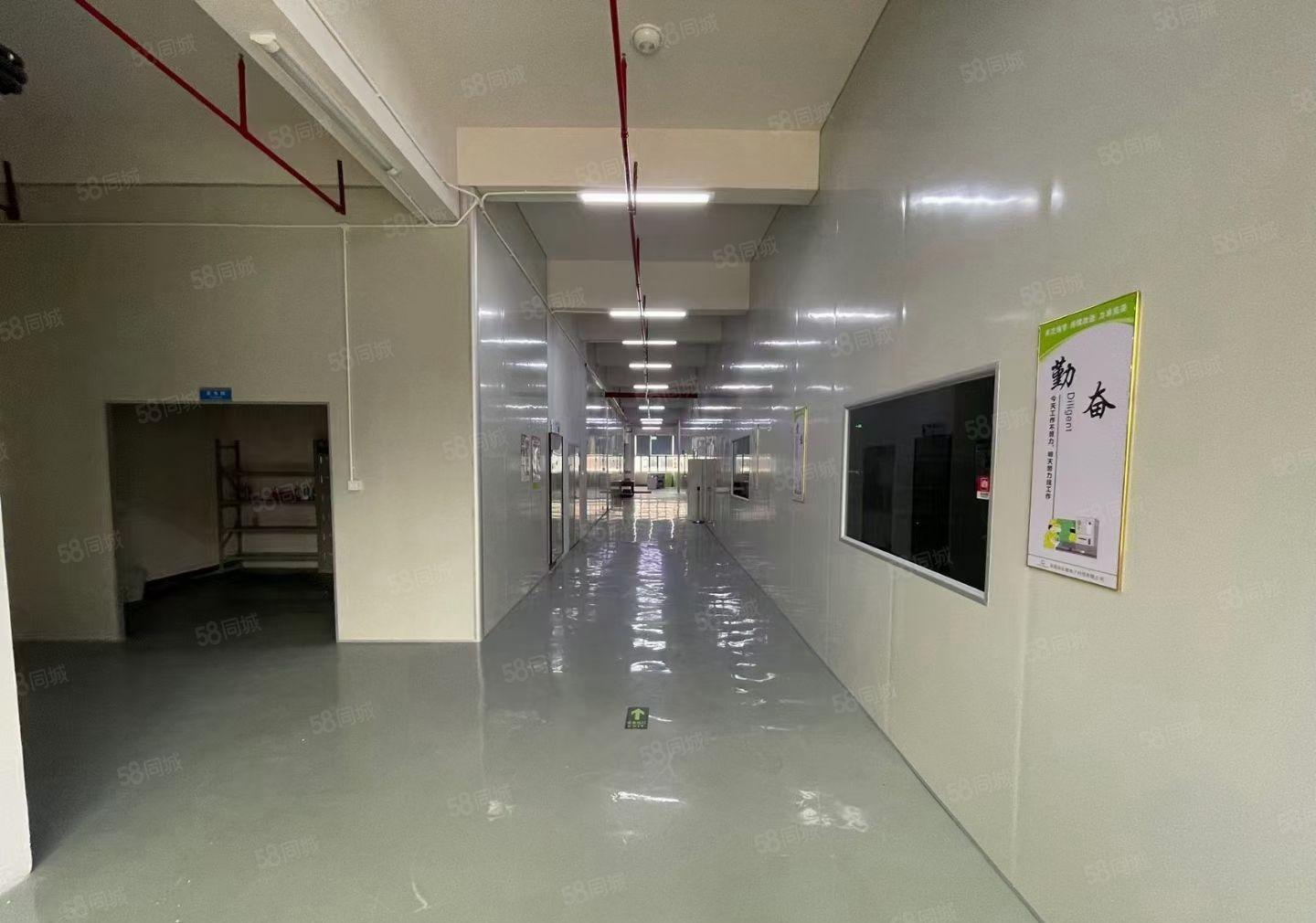 塘厦镇沙湖高新科技产业园新空出3000平方级无尘车间