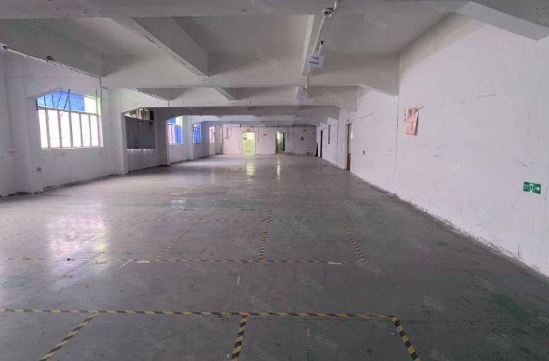 塘厦沙湖经典小独院4800厂房13层3000钢结构1楼