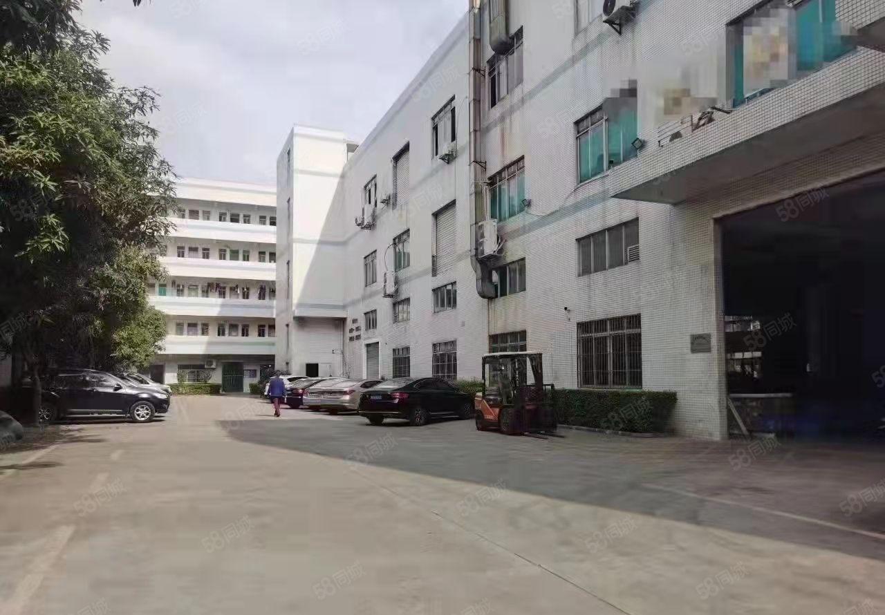 东莞塘厦科苑城新出一楼厂房1400平米出租