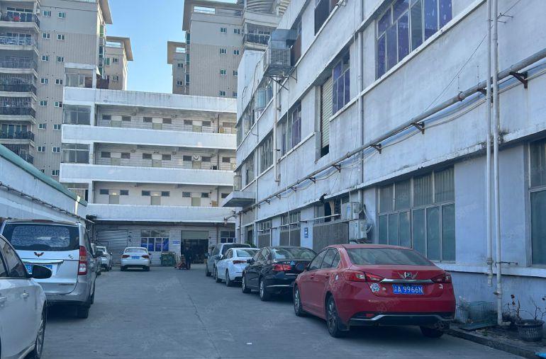 塘厦 原房东 独门独院 经典厂房出租5500平方