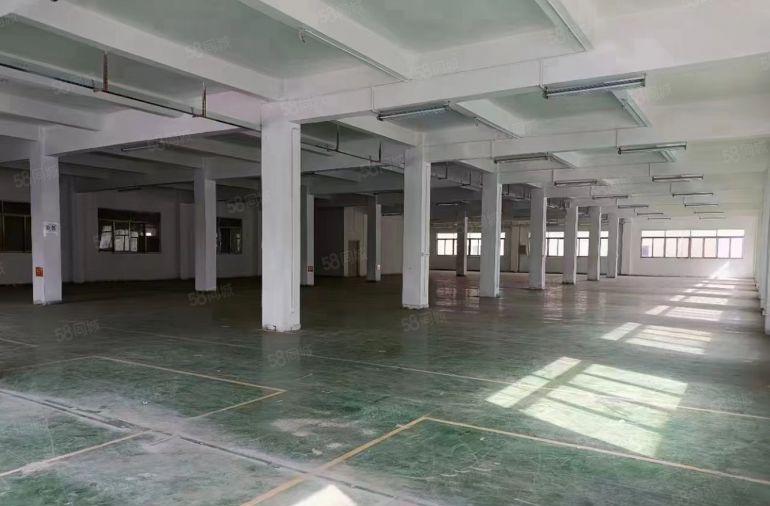 电池行业可接！林村广场附近独院出租标准厂房1150平带装修