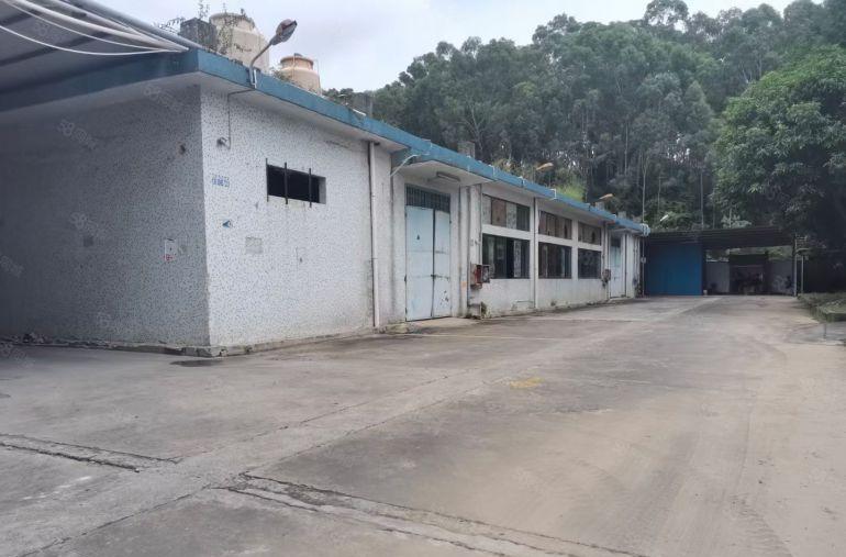 不淹水厂房出租！塘厦天堂围经典小独院钢构2200平，合同期长