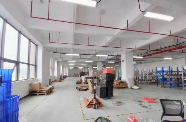 塘厦大坪高速出口原房东新出楼上1668平方 园区形象高大上