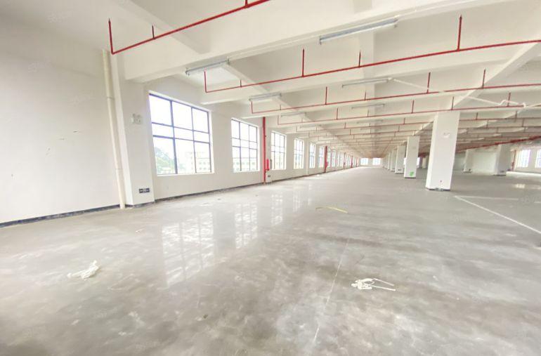 塘厦  原房东  特价6元  适合电子五金注塑家具纸箱等等