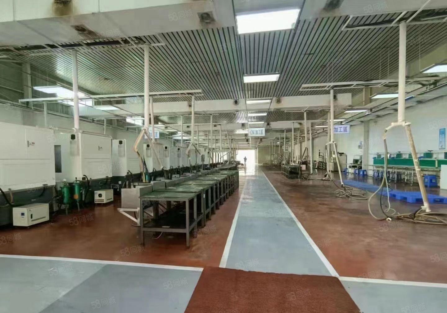 与深圳半小时塘厦高速出口2公里花园独栋厂房 可整租可分租