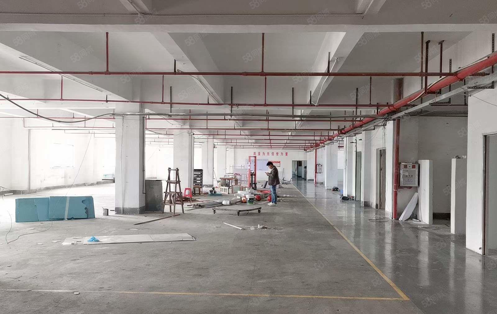 塘厦沙湖近深圳观兰，楼上2500平厂房出租，精装修办公室，