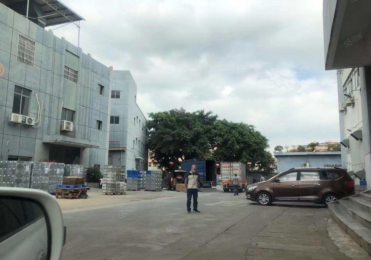 塘厦原房东标准一楼厂房1843平米出租大小可分租