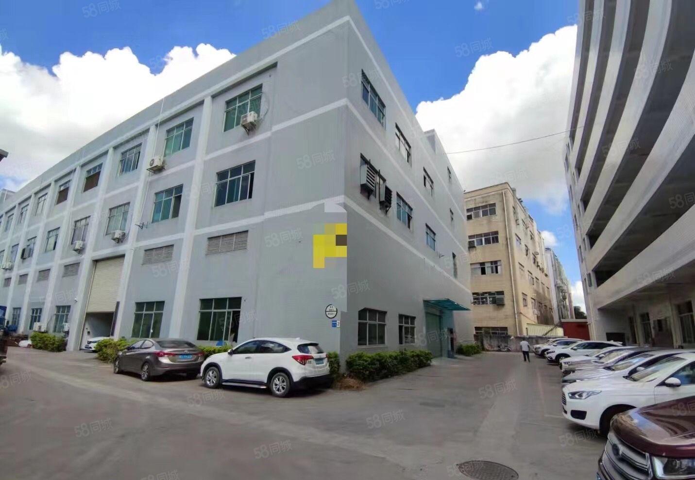 塘厦石鼓新出原房东楼上厂房，现成办公室装修，超大空地