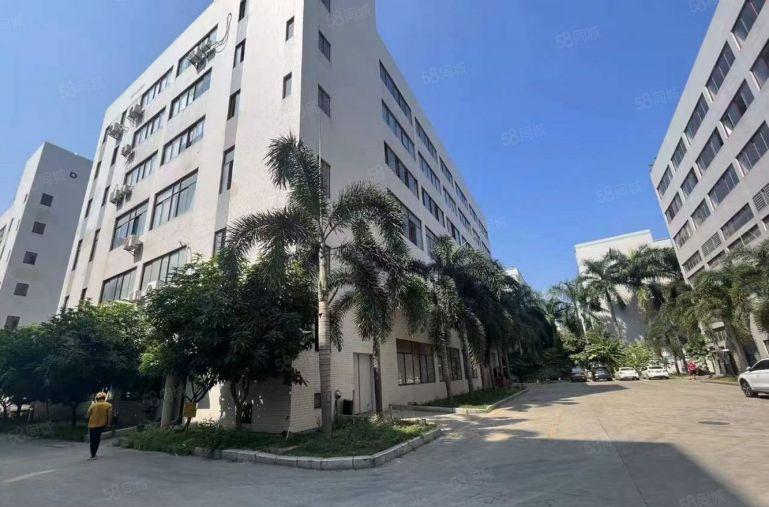 大坪高速口花园式厂房招租整层1500平可分租带装修消防喷淋