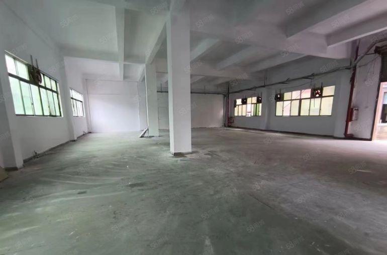 塘厦莲湖一楼实际面积450平6米高的厂房招租，价格实惠