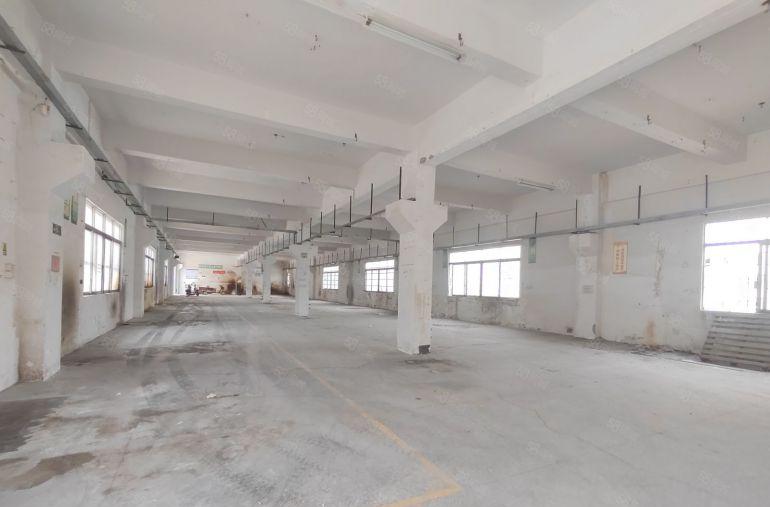 塘厦龙背岭新出标准厂房一楼600平二楼800平出租带牛角可分