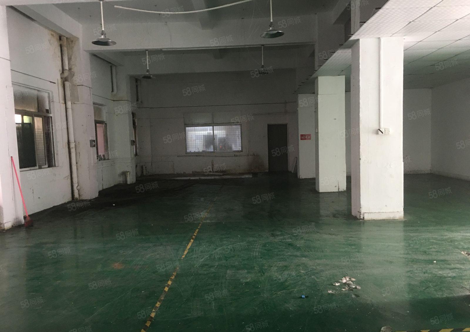 塘厦莲湖新出一楼400平方，带装修