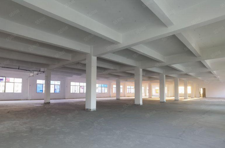 塘厦厂房出租8600平独院石马和观澜凤岗交界处面积可以实量