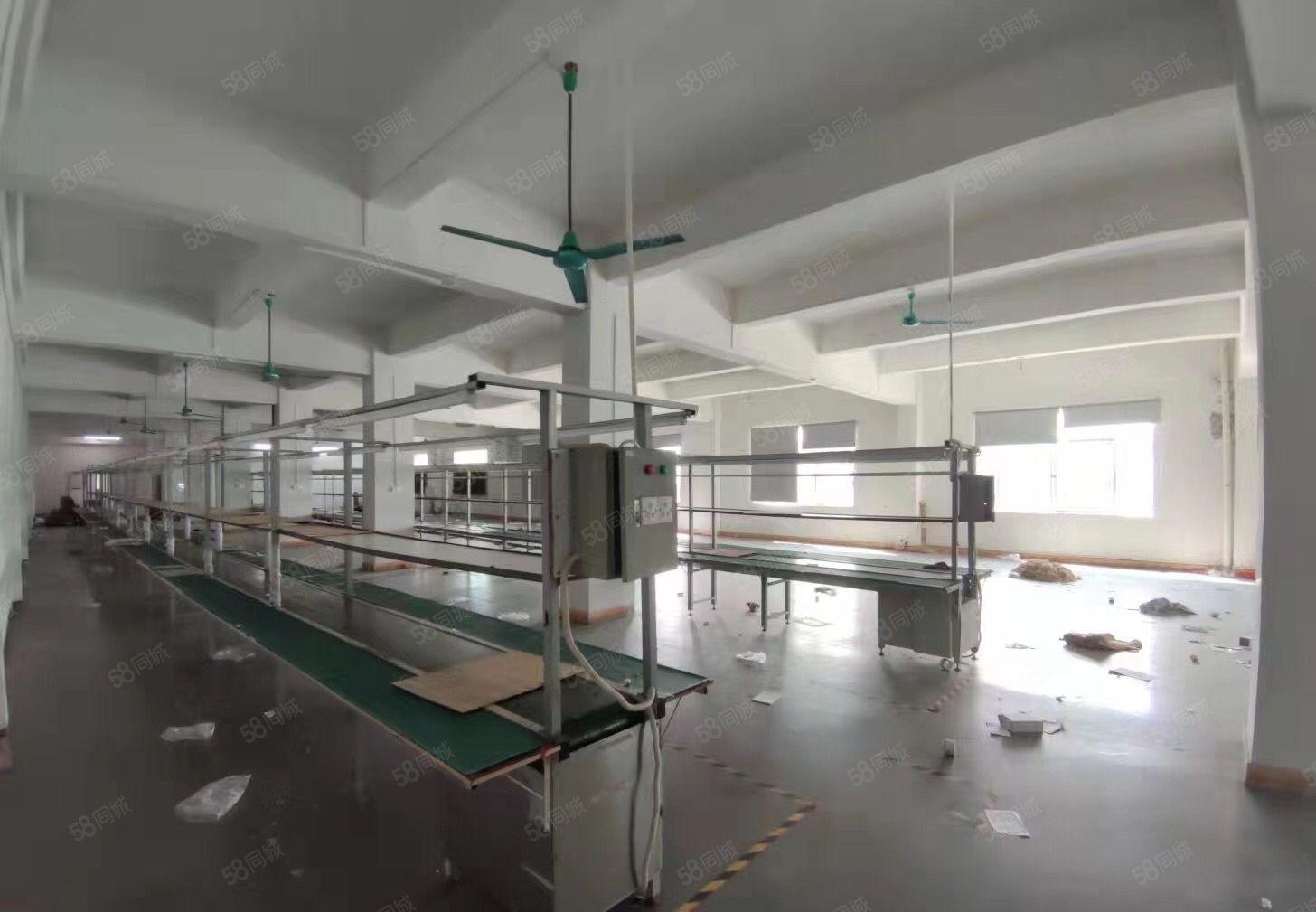 塘厦石鼓新出原房东楼上厂房，现成办公室装修，超大空地