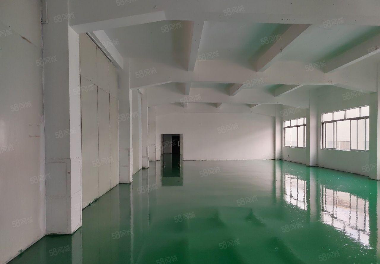 300平起出租塘厦科苑城独院1200平全新地坪漆水电已到车间