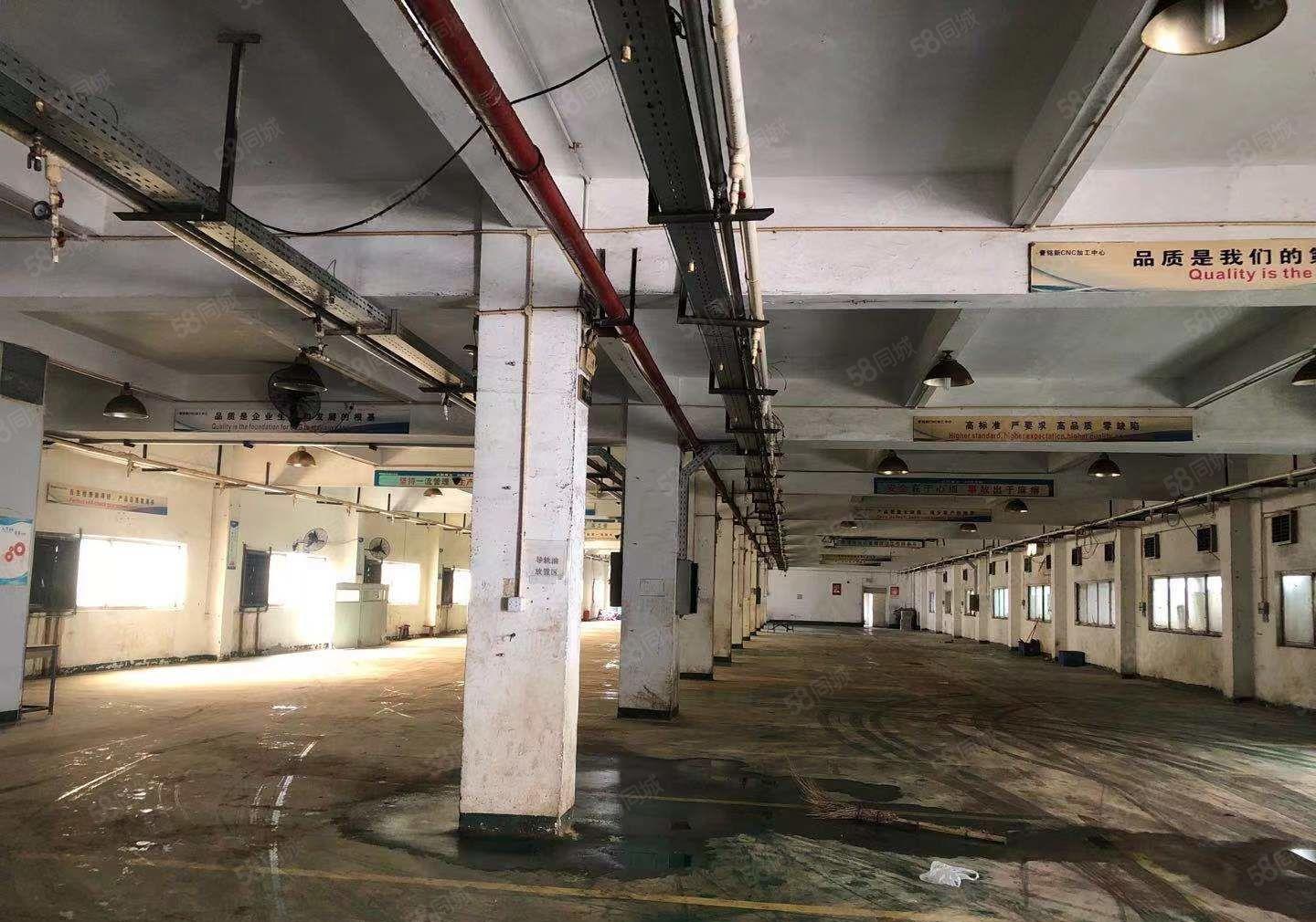 塘厦原房东标准一楼厂房1843平米出租大小可分租