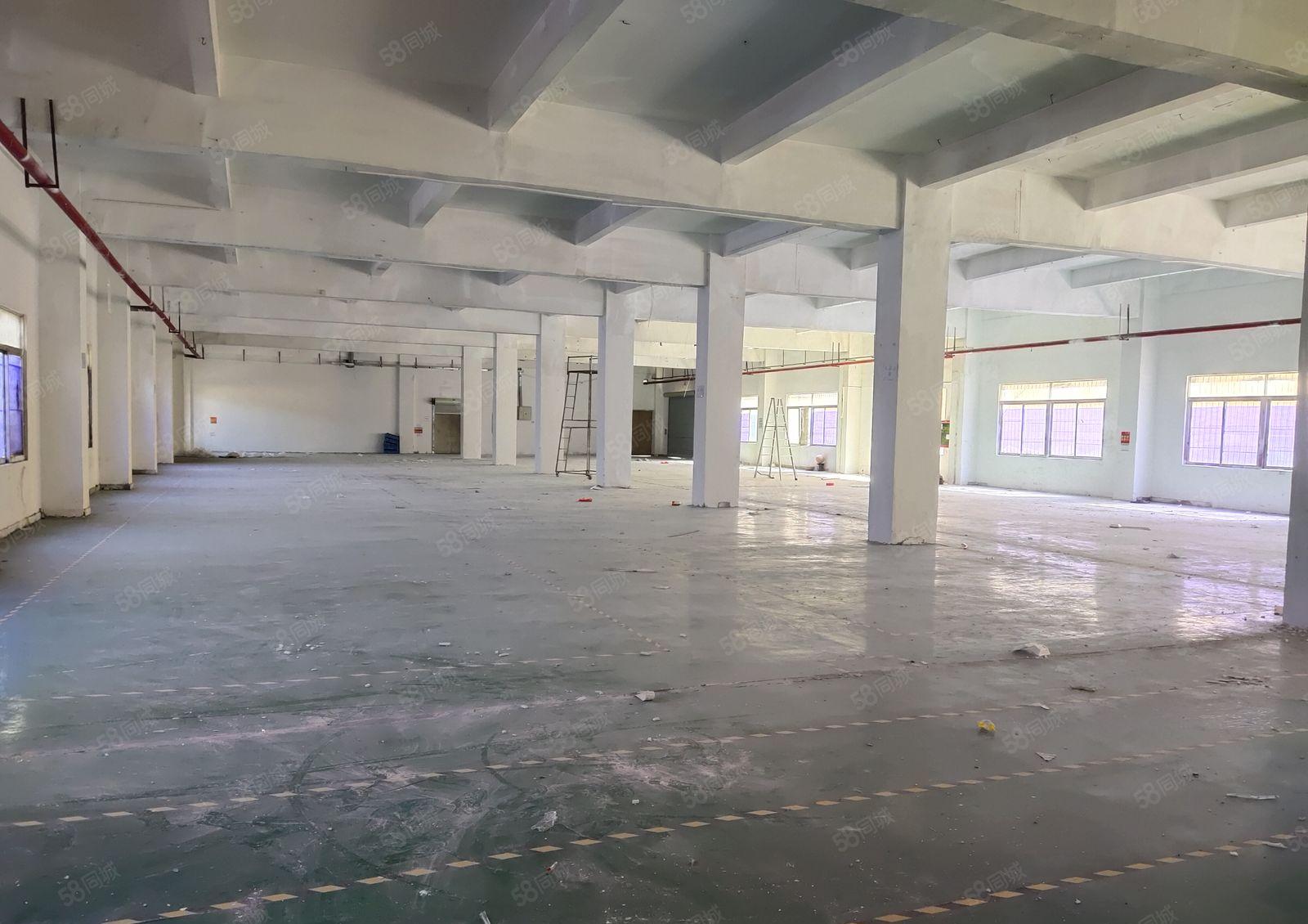 塘厦138工业区独栋一楼1600平红本标准仓库厂房出租可分租