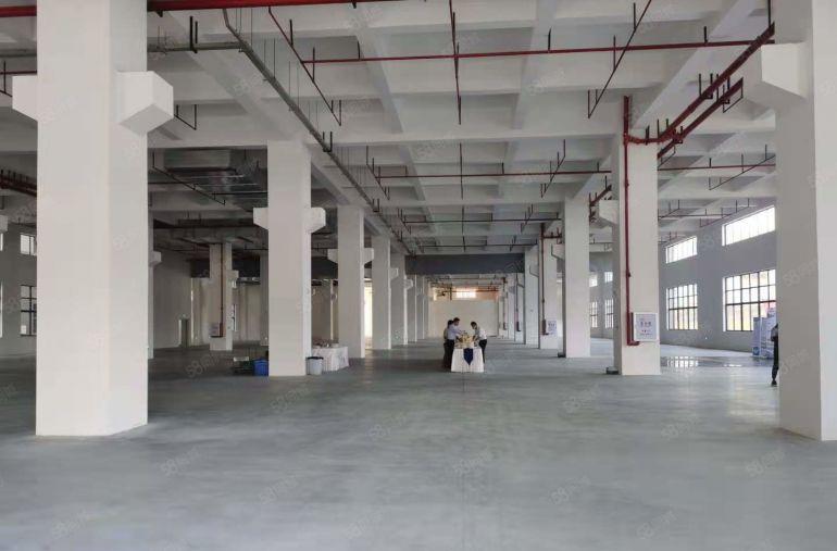 原房东500平起租，塘厦新出50000平独门独院厂房仓库出租