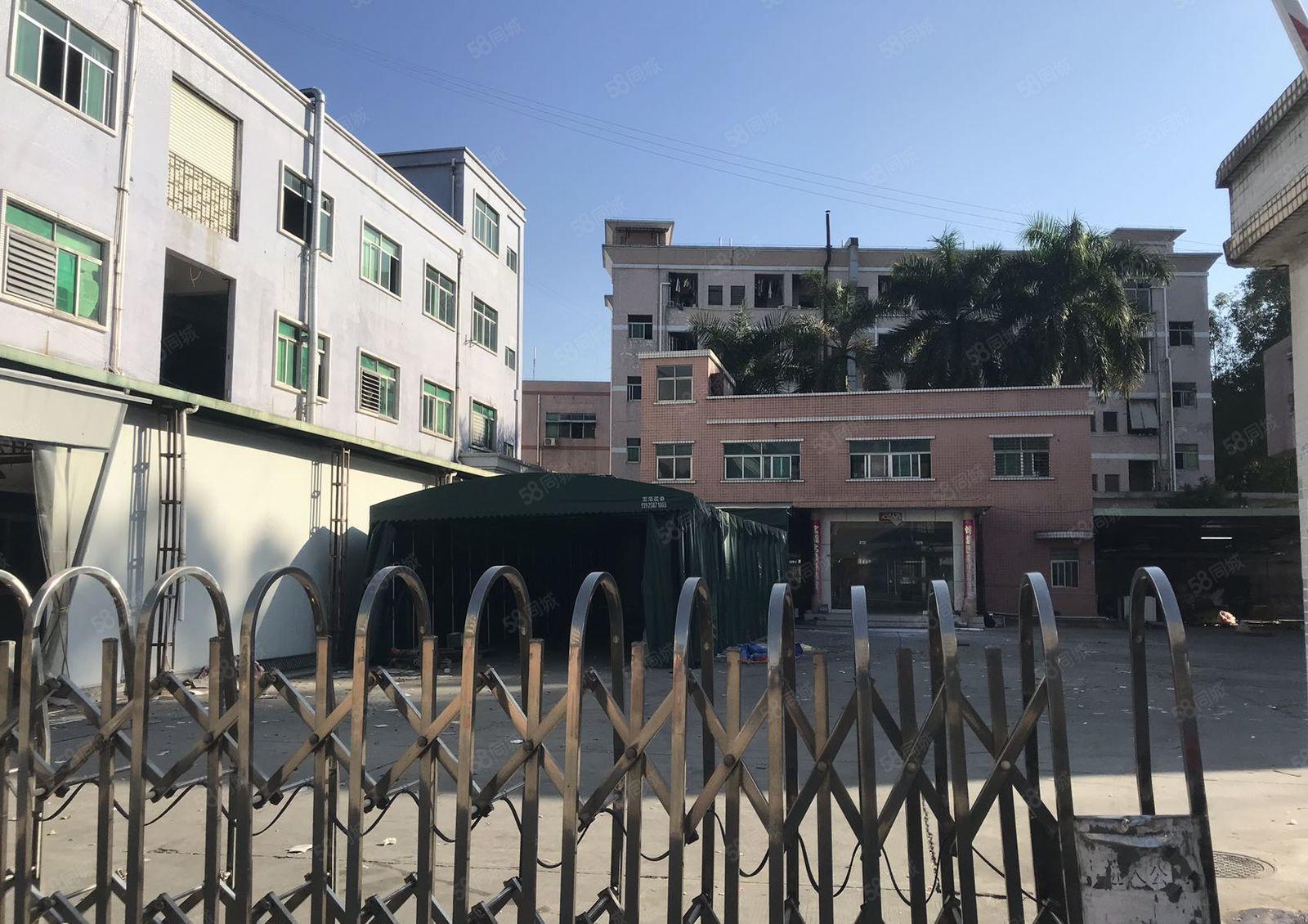 塘厦新出标准独院厂房 6060平方米 原房东直租