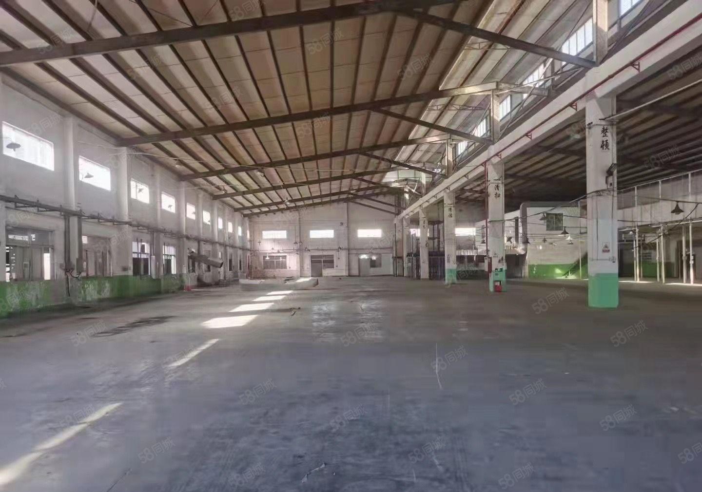 塘厦新独院钢构厂房 进车方便 钢构12米高 形象佳