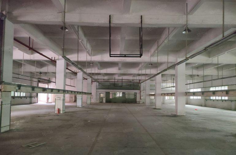 塘厦镇原房东花园式独院厂房出租高速路口旁周边配套齐全低价实惠