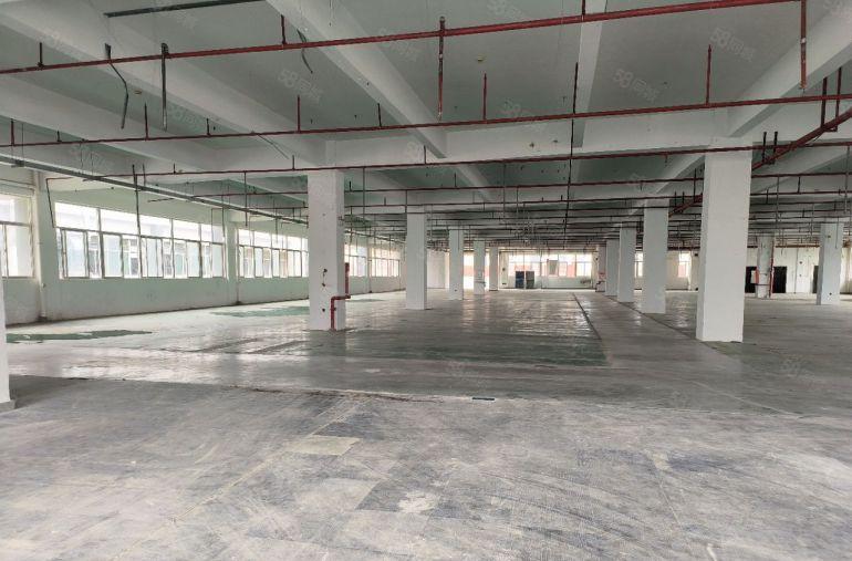 塘厦四村新出独栋厂房仓库出租12000平，园区形象高大上