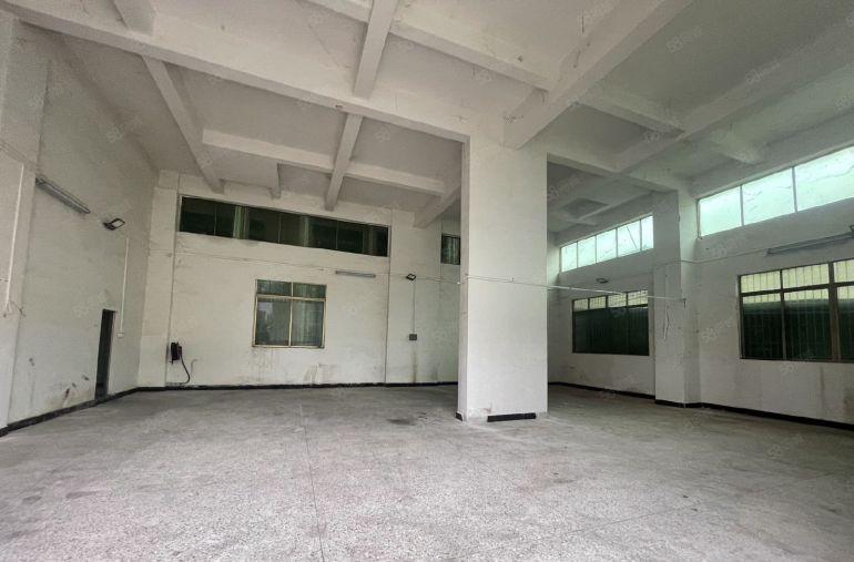 塘厦石鼓大路边一楼238平仓库厂房出租，现成装修原房东直租