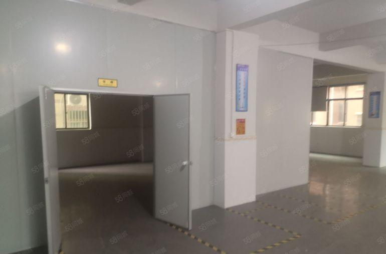 塘厦豪华精装修厂房，水电到车间，2吨电梯，交通便利，临近深圳