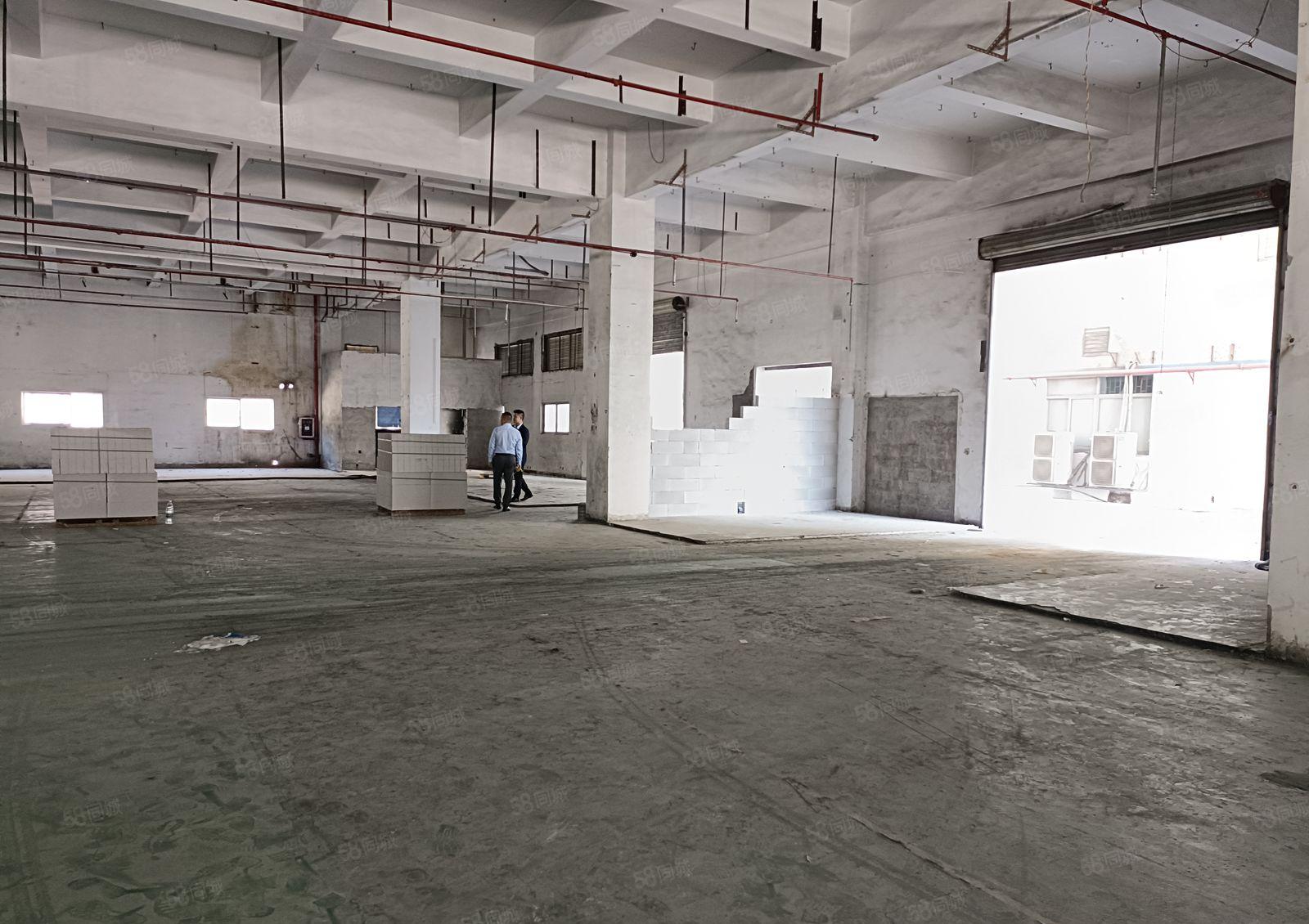 塘厦林村新空出厂房两层3000平，厂房方正利用率高，空地大