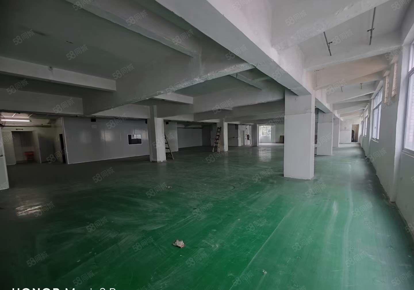 年底特惠！塘厦大坪3楼1000平带办公室装修现成线路大车可进