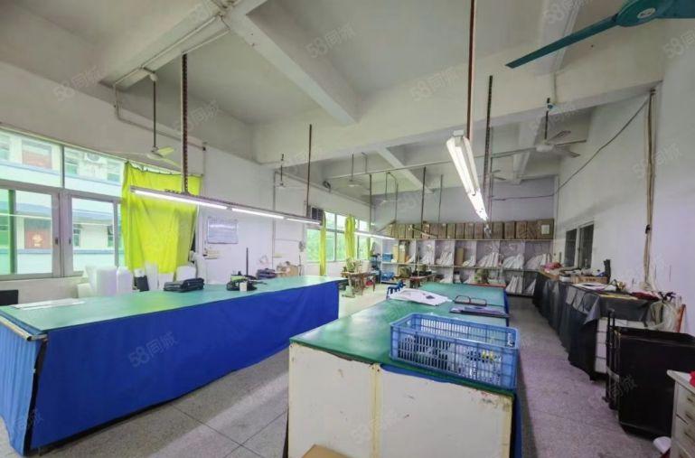 塘厦新空独院楼上豪华装修厂房1200平，配电大可装峰谷表出租