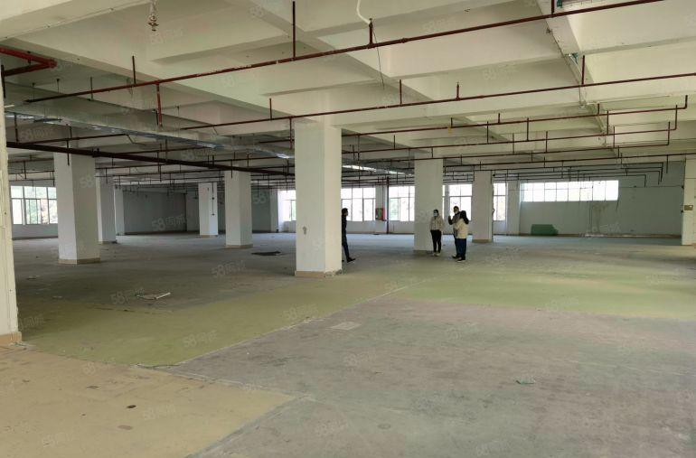 塘厦大坪工业区1000平方红本厂房出租精装修带消费喷淋可分租