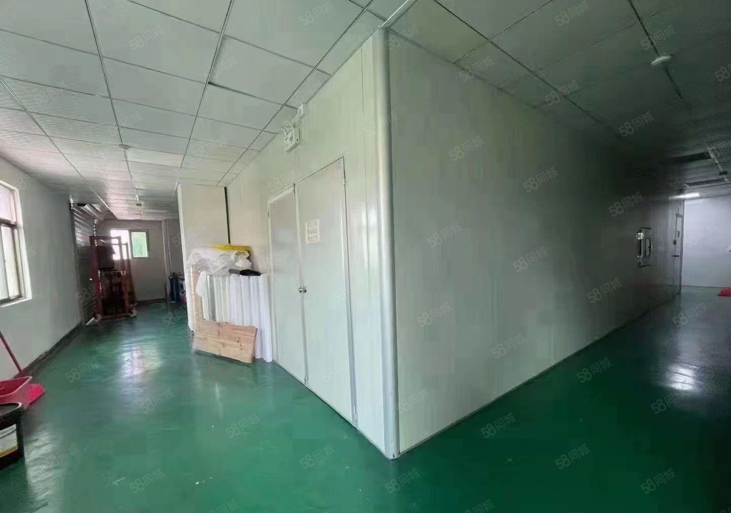 塘厦园区新出无尘车间790平 厂房形象好 周边人气旺