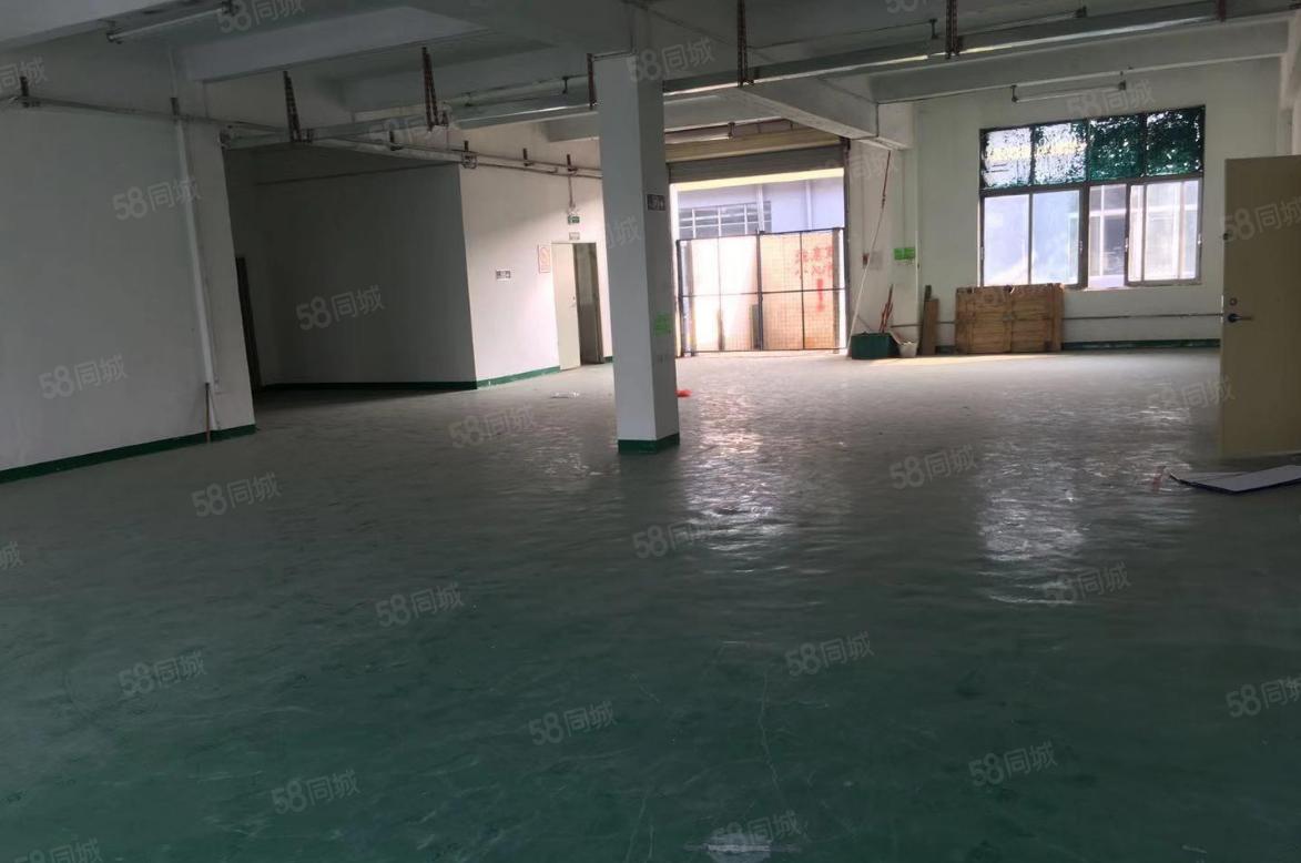 塘厦田心独栋标准两层1900平，园区厂房带装修，形象好。