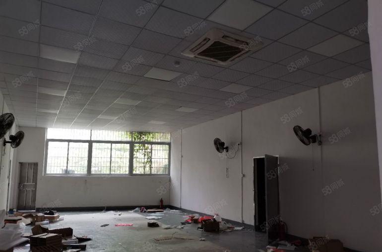 本地房东塘厦平山大路边一楼550平标准厂房出租，带装修无杂费