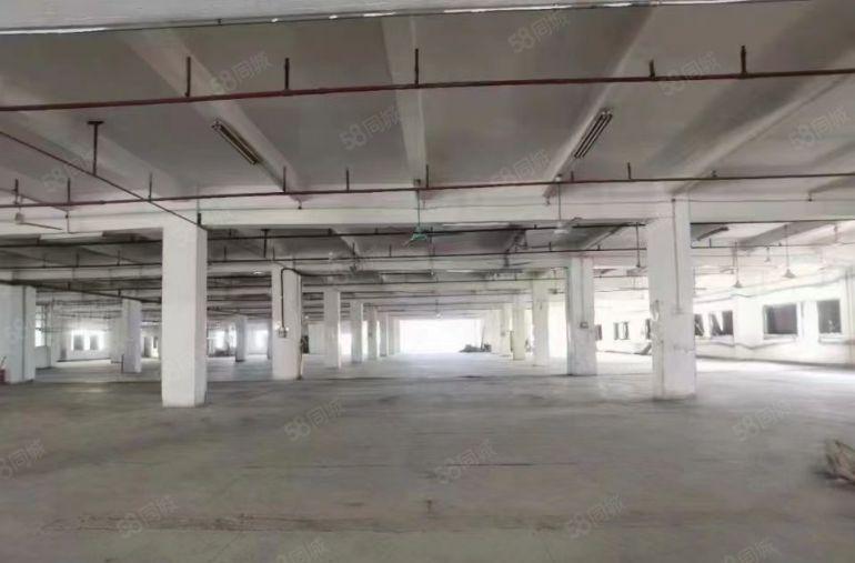 出租塘厦横塘工业区带装修厂房出租600平，适合做电子，仓库等