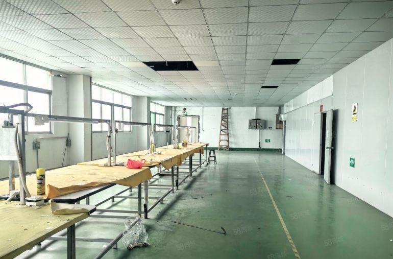 塘厦沙湖新空出独院13000平厂房带牛角精装修高速近