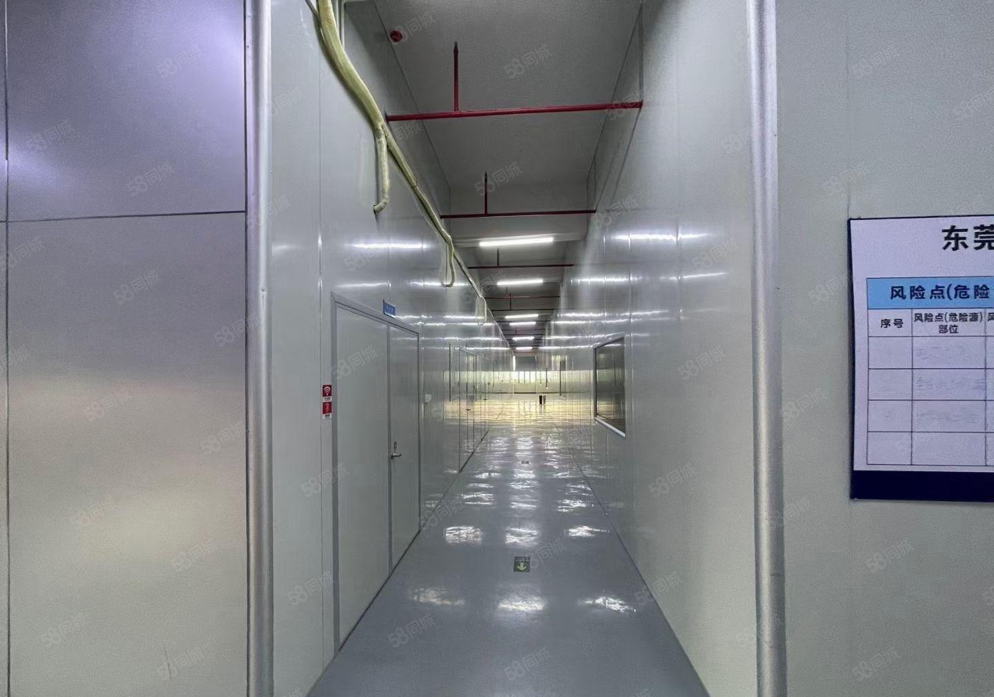 塘厦镇沙湖高新科技产业园新空出3000平方级无尘车间