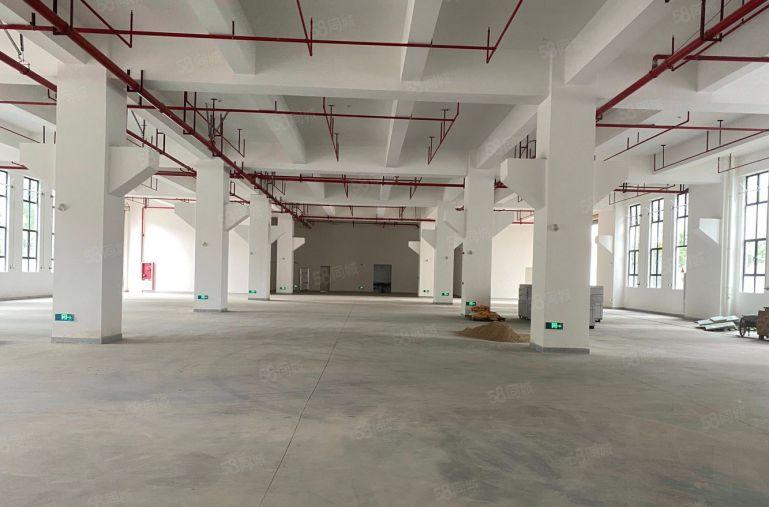 塘厦全新厂房仓库出租一楼带牛角重工业园区800平起租 易招工