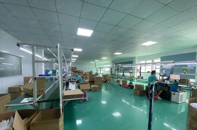 精装修电子车间1300平方！无公摊！现场实拍图片