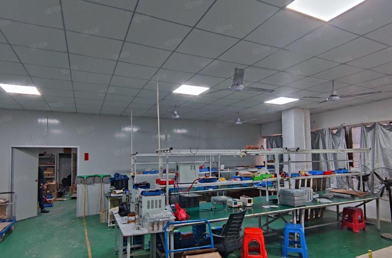 塘厦龙背岭楼上500平小面积厂房，带精装修办公地坪漆低价出租