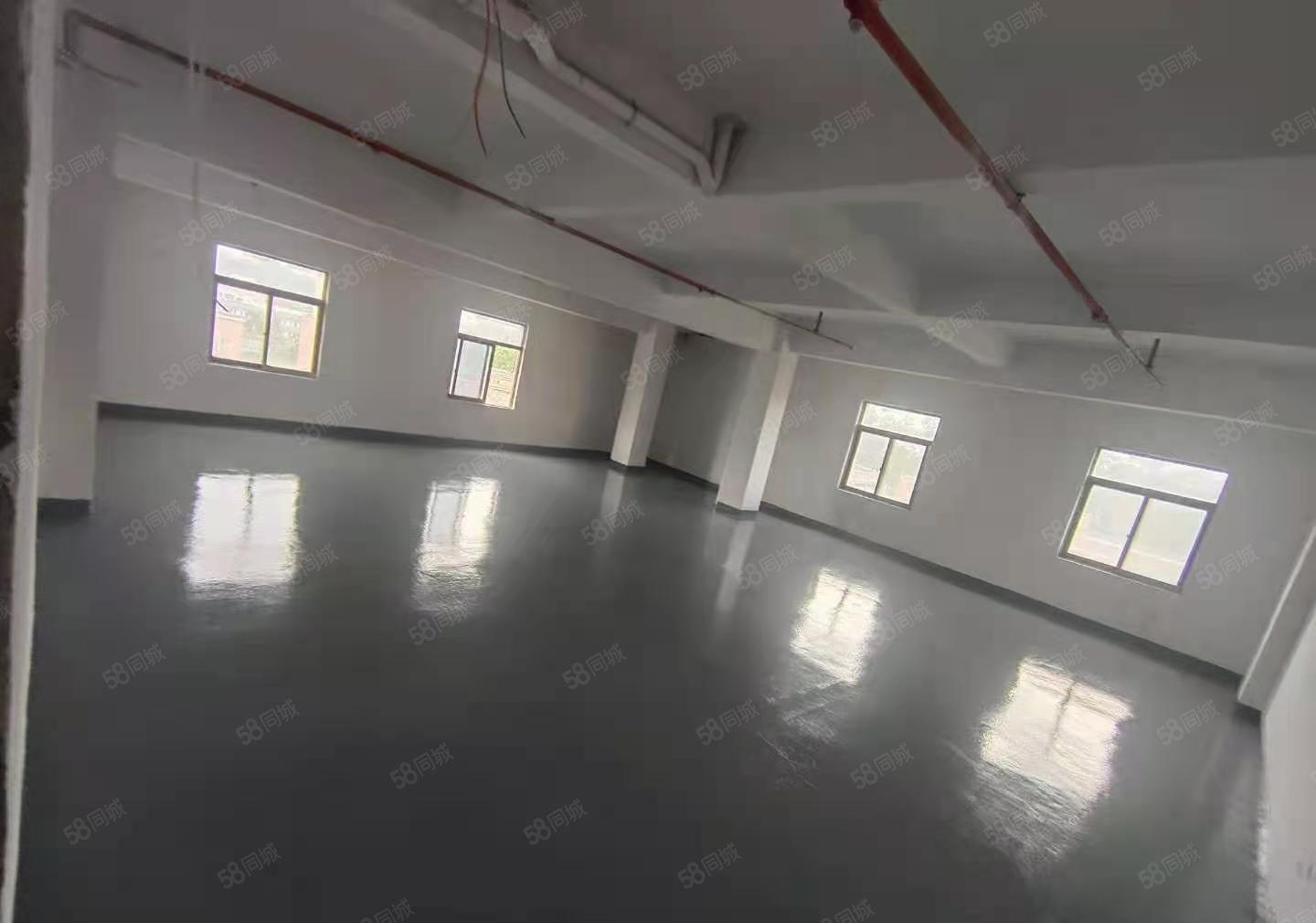 18650电池分容可做!塘厦田心独院厂房出租1450平带装修