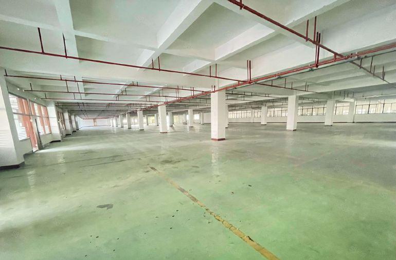 东莞塘厦零公摊，原房东5500平标准2楼厂房带精装修特价出租