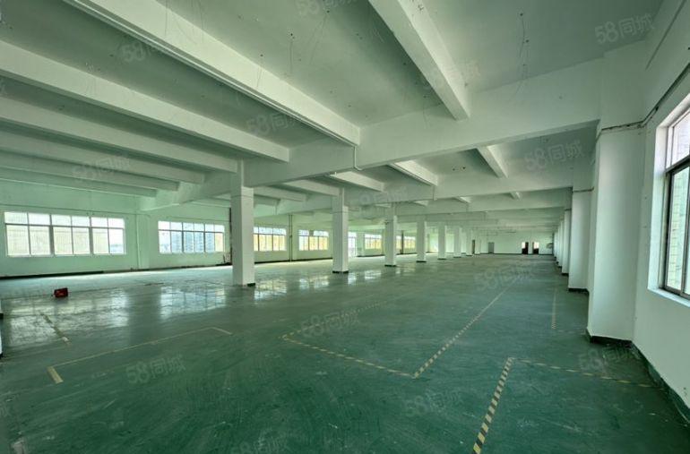 塘厦中心楼上1200平仓库厂房特价13元，格局实用原房东出租